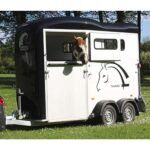 Daltec PT Touring One, 3180x1400x2300 mm, 1600 Kg – Bild 3